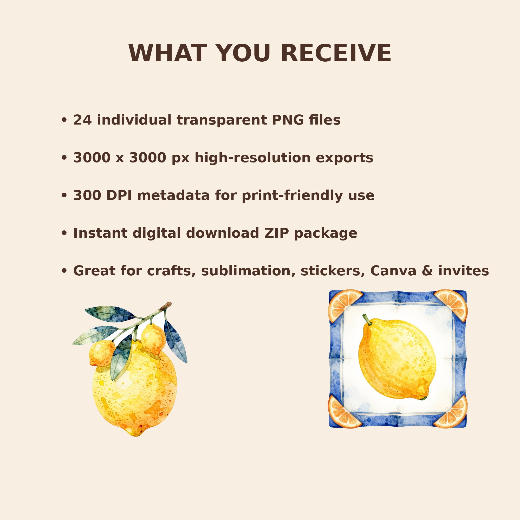 3 file details