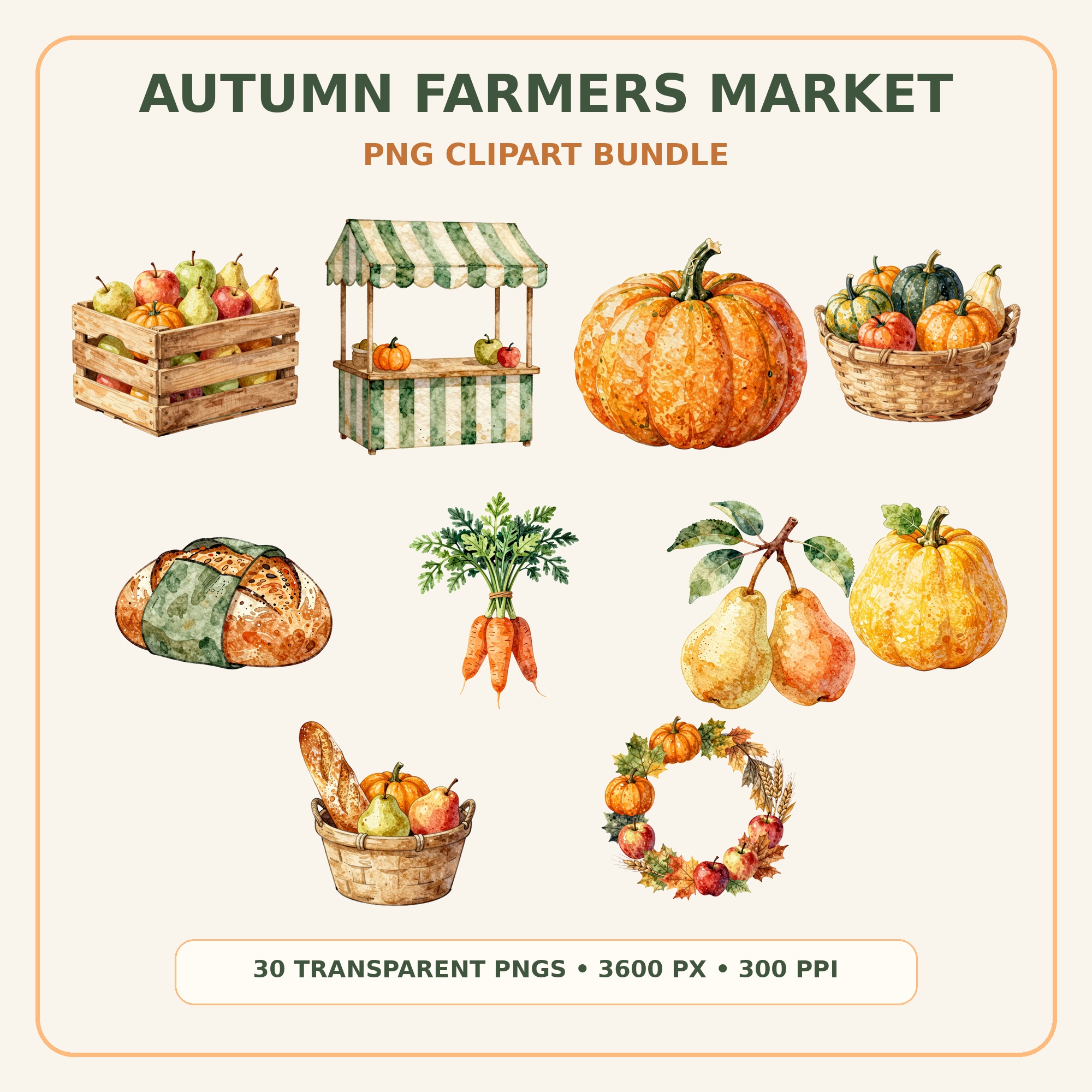 Autumn Farmers Market Clipart Bundle preview