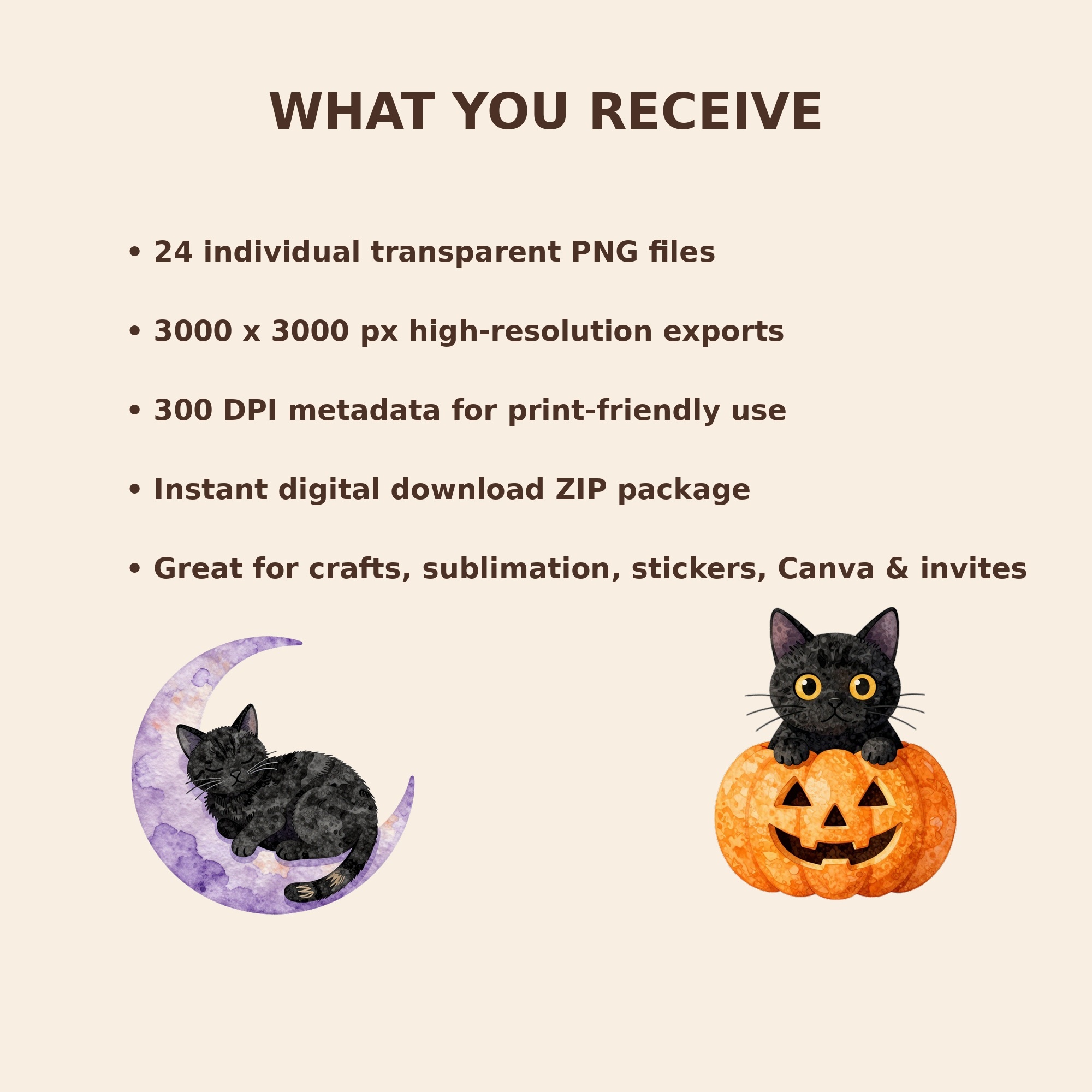3 file details