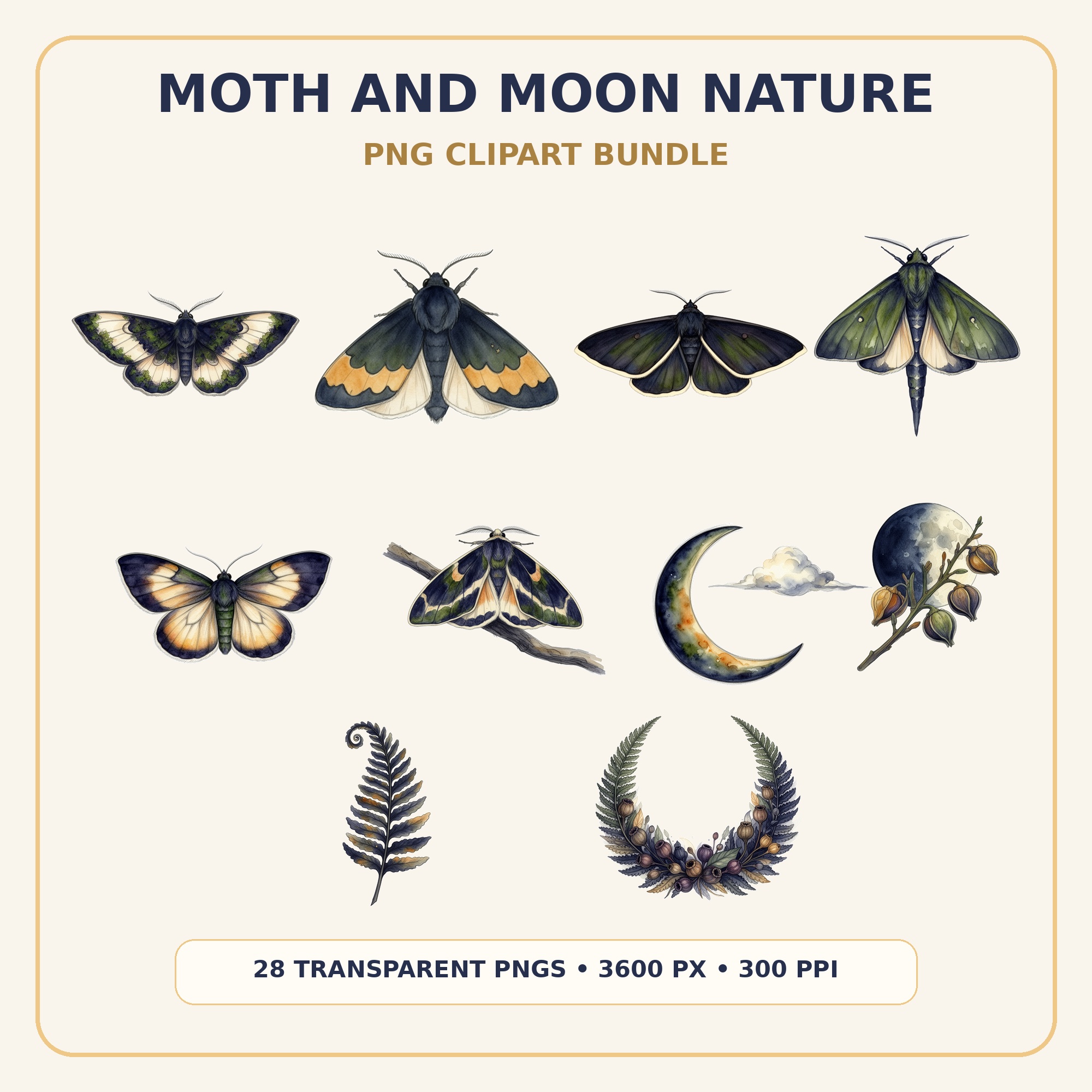 Moth and Moon Clipart Bundle preview