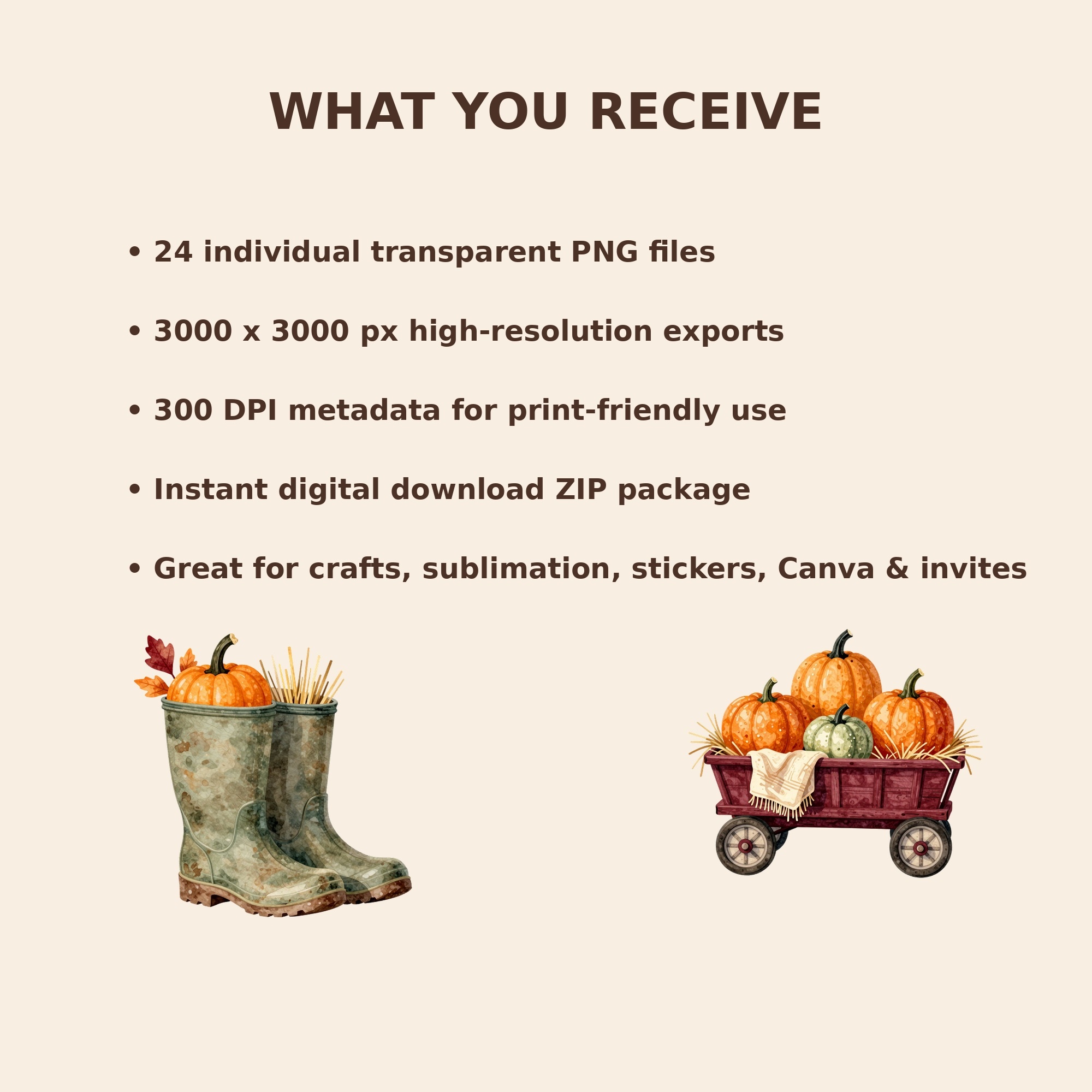 3 file details