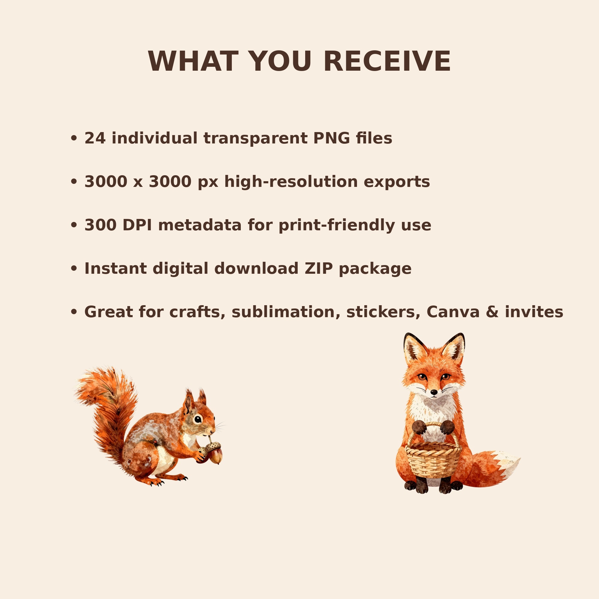 3 file details